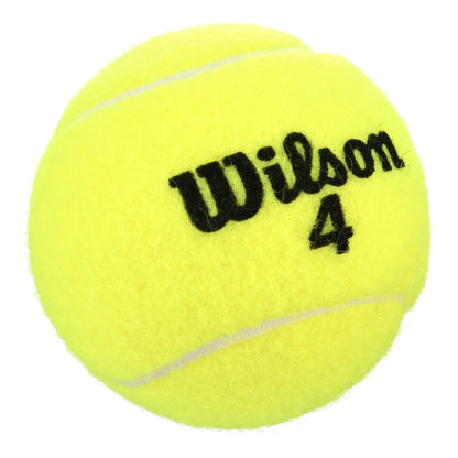 Championship Extra-Duty Tennis Balls (1 Can, 3 Balls)